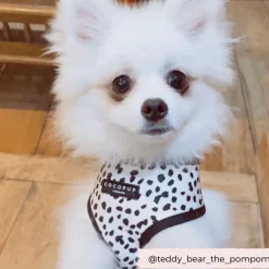 Cocopup Adjustable Harness Bundles-Monochrome Spots Adjustable Neck Harness, Lead & Collar Bundle