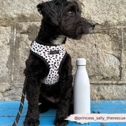 Cocopup Adjustable Neck Harnesses-Monochrome Spots Adjustable Neck HARNESS
