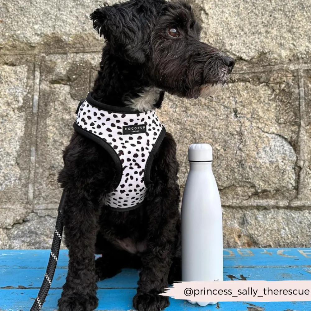 Cocopup Adjustable Neck Harnesses-Monochrome Spots Adjustable Neck HARNESS