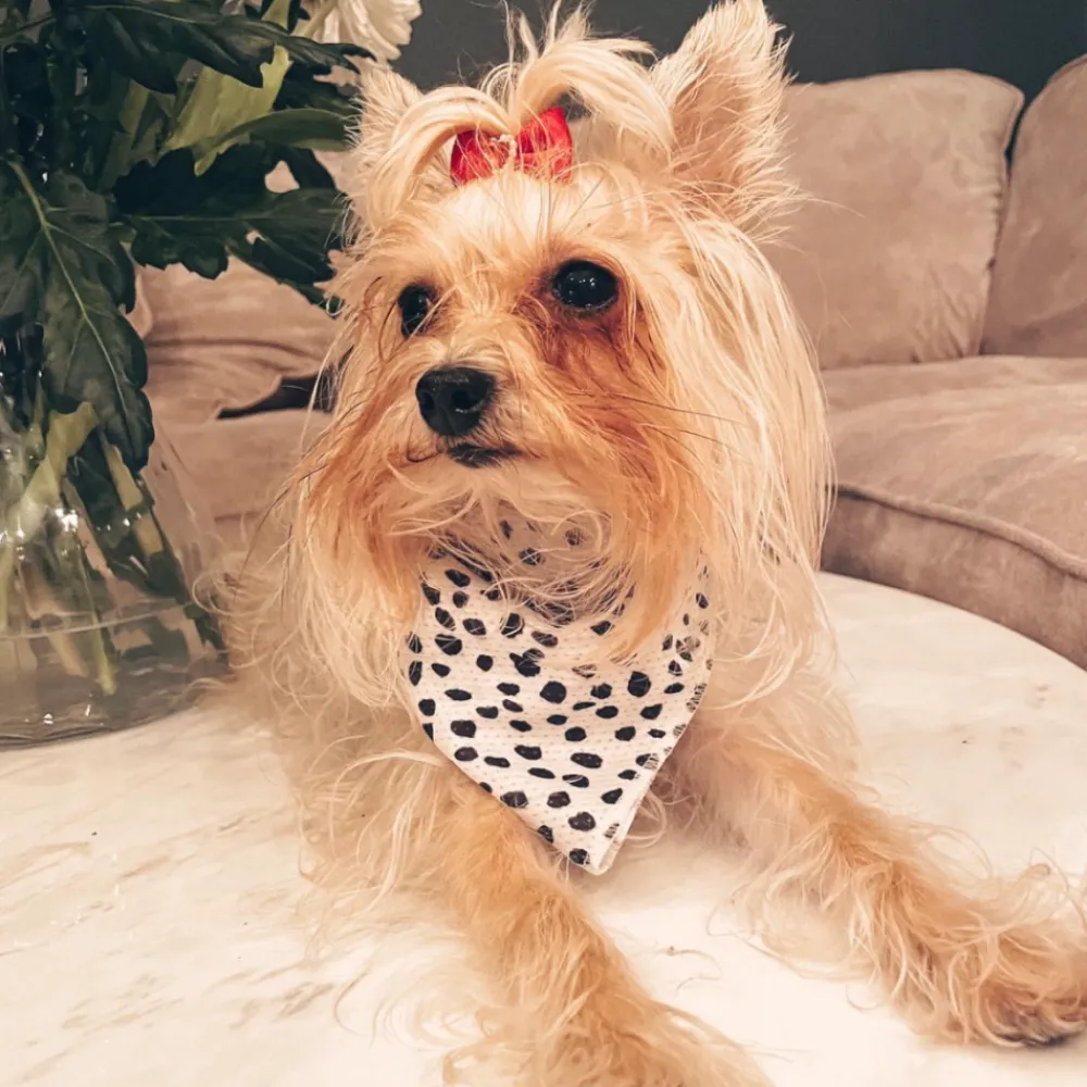 Cocopup Bandanas-Monochrome Spots Bandana