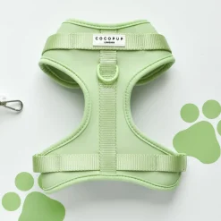 Cocopup Adjustable Neck Harnesses | Nakd D-Ring Harnesses-NAKD Adjustable Neck Harness - Matcha