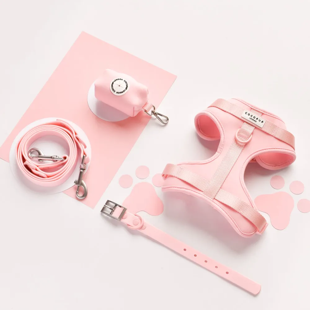 Cocopup Nakd D-Ring Harnesses | Nakd D-Ring Harness Bundles-NAKD Adjustable Neck Harness, Lead, Collar & Poop Bag Holder Bundle - Candyfloss