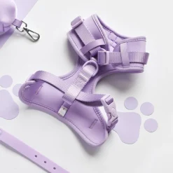 Cocopup Adjustable Neck Harnesses | Nakd D-Ring Harnesses-NAKD Adjustable Neck Harness - Parma Violets