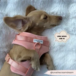 Cocopup Nakd D-Ring Harnesses | Adjustable Neck Harnesses-NAKD Adjustable Neck Harness - Peach Floof