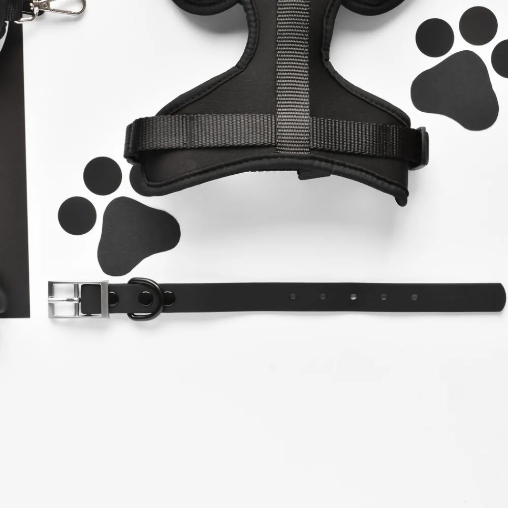 Cocopup Nakd D-Ring Harnesses | Nakd D-Ring Harness Bundles-NAKD Adjustable Neck Harness, Lead, Collar & Poop Bag Holder Bundle - Liquorice