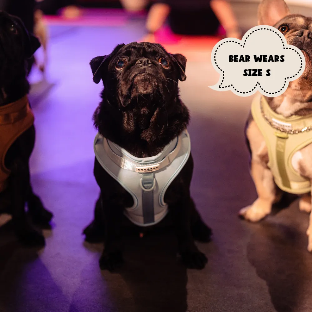 Cocopup Adjustable Neck Harnesses | Nakd D-Ring Harnesses-NAKD Adjustable Neck Harness - Bubblegum