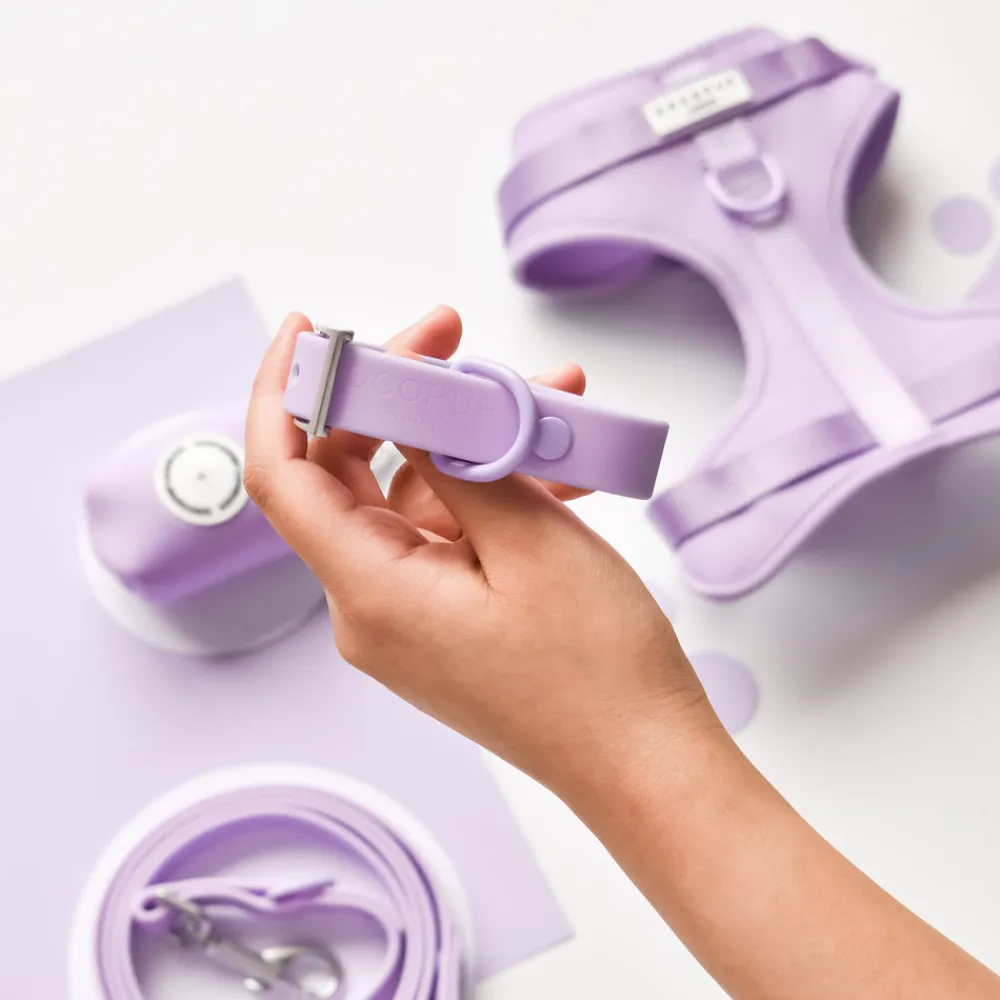 Cocopup Nakd D-Ring Harnesses | Nakd D-Ring Harness Bundles-NAKD Adjustable Neck Harness, Lead, Collar & Poop Bag Holder Bundle - Parma Violets