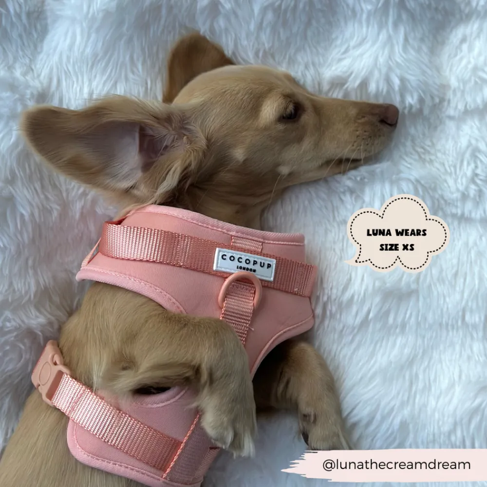 Cocopup Nakd D-Ring Harness Bundles | Nakd D-Ring Harnesses-NAKD Adjustable Neck Harness, Lead, Collar & Poop Bag Holder Bundle - Peach Floof