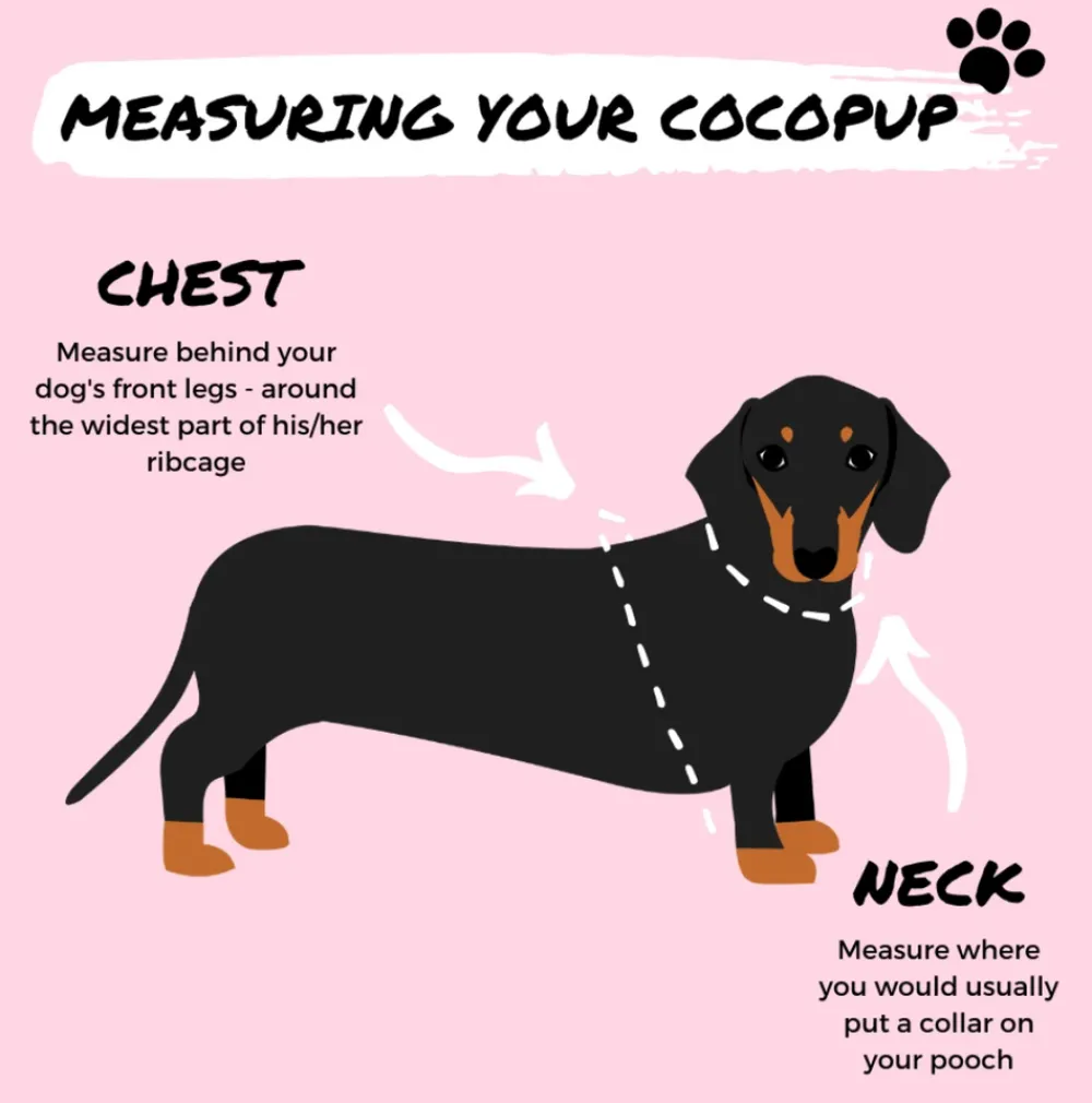 Cocopup Nakd D-Ring Harnesses | Nakd D-Ring Harness Bundles-NAKD Adjustable Neck Harness, Lead, Collar & Poop Bag Holder Bundle - Liquorice
