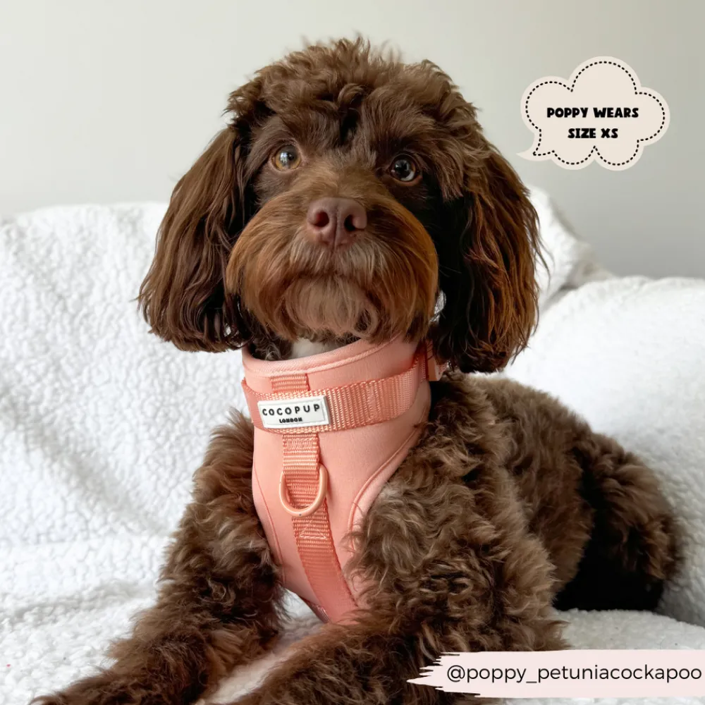 Cocopup Nakd D-Ring Harness Bundles | Nakd D-Ring Harnesses-NAKD Adjustable Neck Harness, Lead, Collar & Poop Bag Holder Bundle - Peach Floof