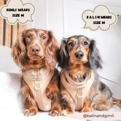 Cocopup Nakd D-Ring Harnesses | Nakd D-Ring Harness Bundles-NAKD Adjustable Neck Harness, Lead, Collar & Poop Bag Holder Bundle - Biscuit