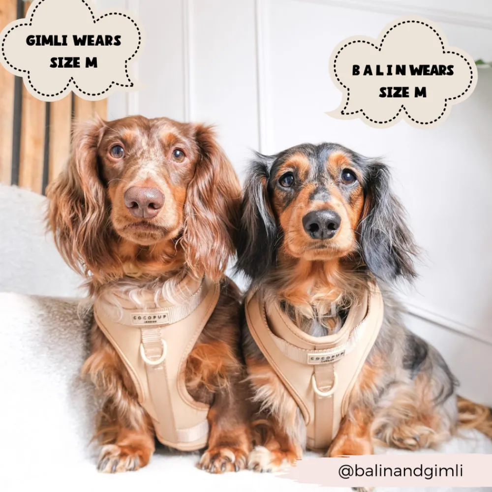 Cocopup Nakd D-Ring Harnesses | Nakd D-Ring Harness Bundles-NAKD Adjustable Neck Harness, Lead, Collar & Poop Bag Holder Bundle - Biscuit