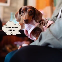 Cocopup Nakd D-Ring Harnesses | Nakd D-Ring Harness Bundles-NAKD Adjustable Neck Harness, Lead, Collar & Poop Bag Holder Bundle - Candyfloss