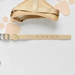 Cocopup Collars | Nakd Waterproof Collars-NAKD Collar - Biscuit