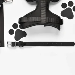 Cocopup Collars | Nakd Waterproof Collars-NAKD Collar - Liquorice