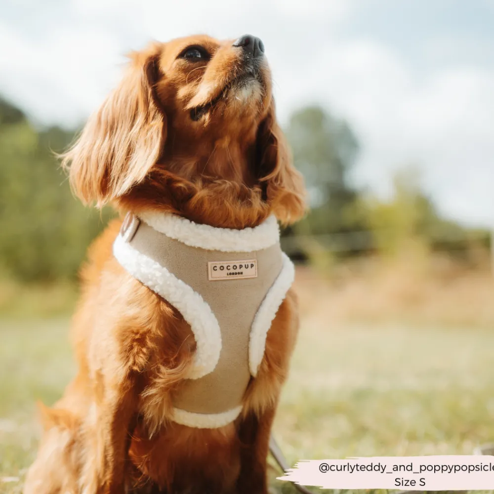 Cocopup Adjustable Neck Harnesses-Nude Aviator Adjustable Neck HARNESS