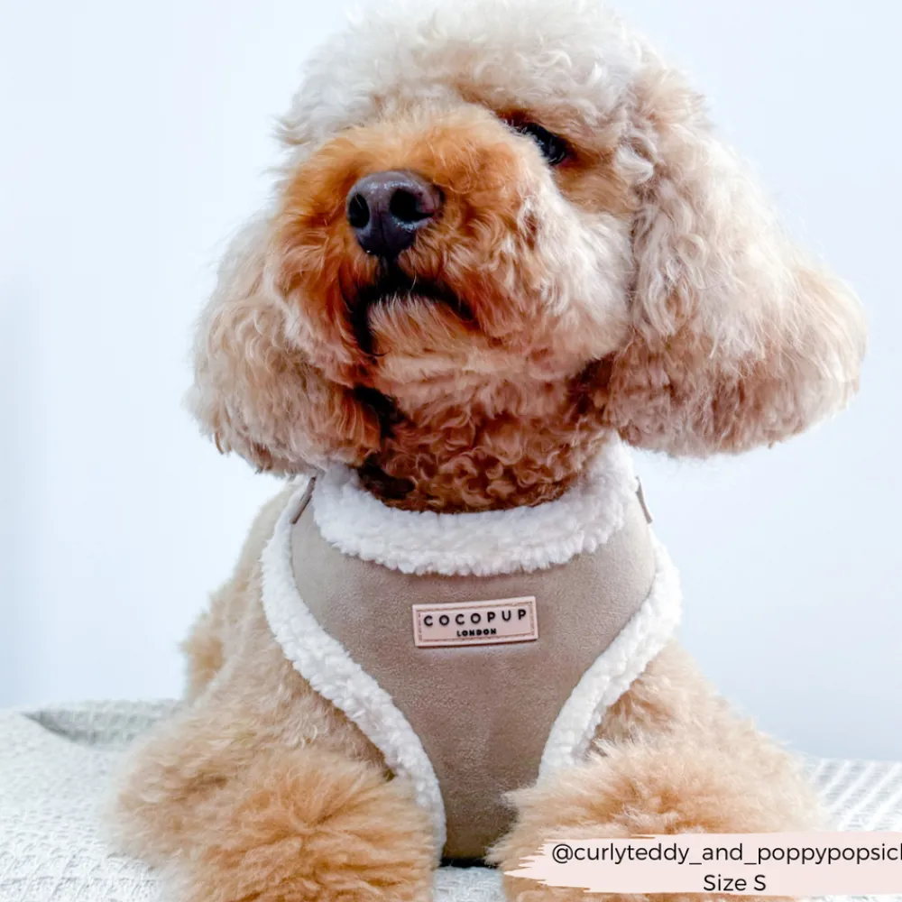Cocopup Adjustable Harness Bundles-Nude Aviator Adjustable Neck Harness, Lead & Collar Bundle
