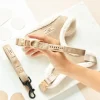Cocopup Collars | Puppy Leads & Collars-Nude Aviator COLLAR
