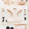 Cocopup Adjustable Harness Bundles-Nude Chic Leopard Adjustable Neck Harness, Lead & Collar Bundle