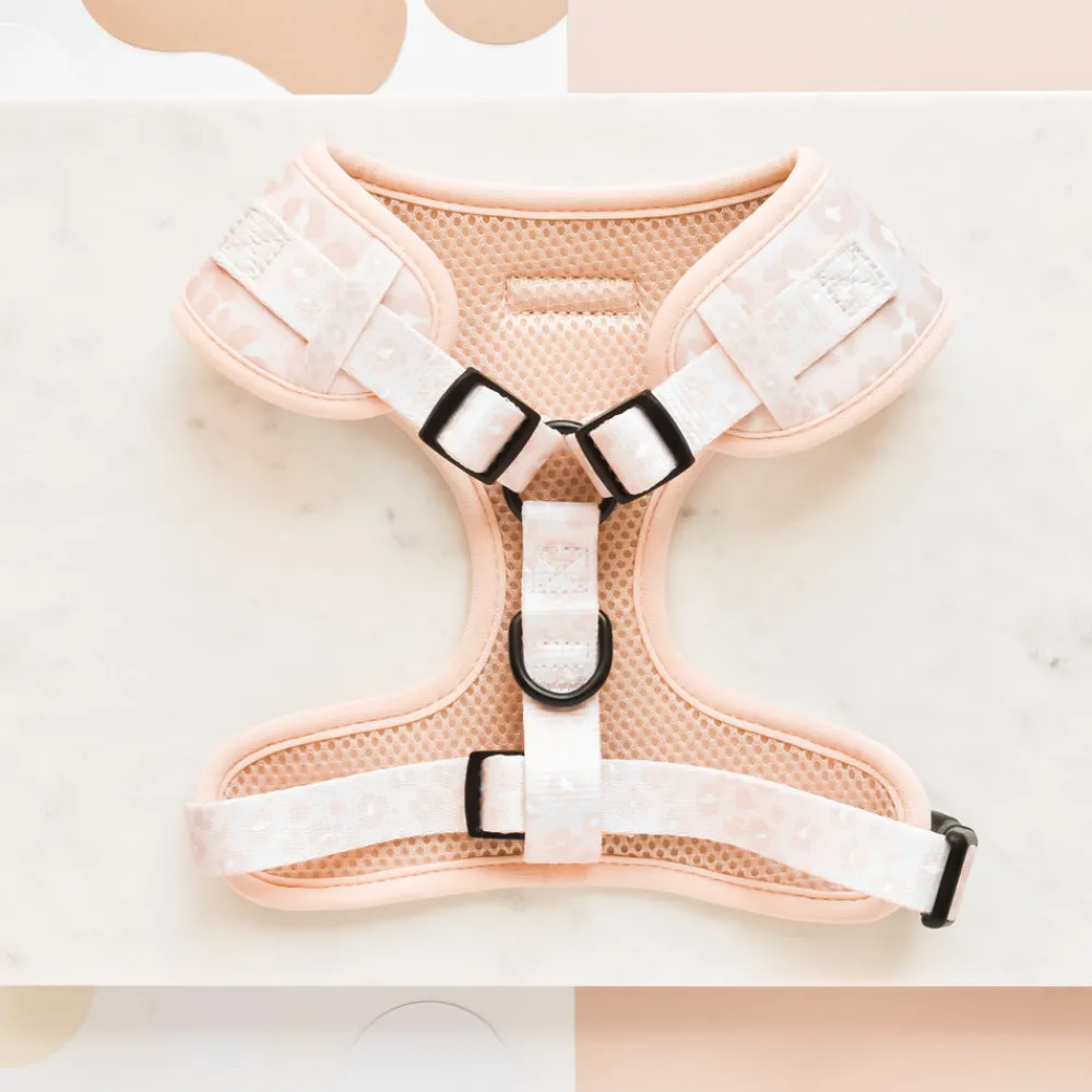 Cocopup Adjustable Neck Harnesses-Nude Chic Leopard Adjustable Neck HARNESS