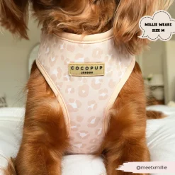 Cocopup Adjustable Harness Bundles-Nude Chic Leopard Adjustable Neck Harness, Lead & Collar Bundle