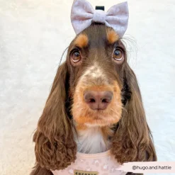 Cocopup Bow Ties-Nude Chic Leopard Bow Tie