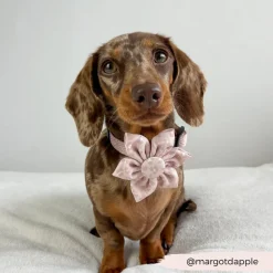 Cocopup Collar Flowers-Nude Chic Leopard Collar Flower