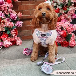 Cocopup Adjustable Harness Bundles-Pastel Flowers Adjustable Neck Harness, Lead & Collar Bundle