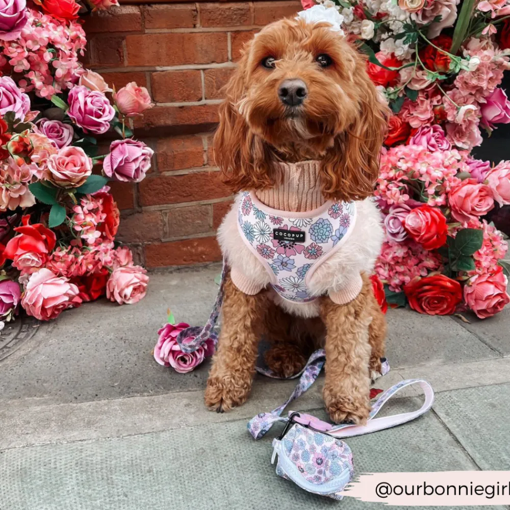 Cocopup Adjustable Harness Bundles-Pastel Flowers Adjustable Neck Harness, Lead & Collar Bundle