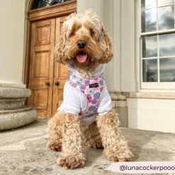 Cocopup Adjustable Neck Harnesses-Pastel Flowers Adjustable Neck HARNESS