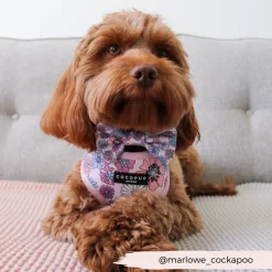 Cocopup Bow Ties-Pastel Flowers Bow Tie