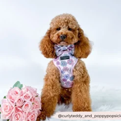 Cocopup Bow Ties-Pastel Flowers Bow Tie