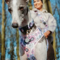 Cocopup Collars-Pastel Flowers Collar
