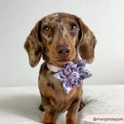 Cocopup Collar Flowers-Pastel Flowers Collar Flower
