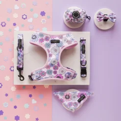 Cocopup Leads-Pastel Flowers Lead