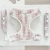 Cocopup Adjustable Harness Bundles | Special Occassion Harnesses ✨-Pearly Pup Adjustable Neck Harness, Lead & Collar Bundle