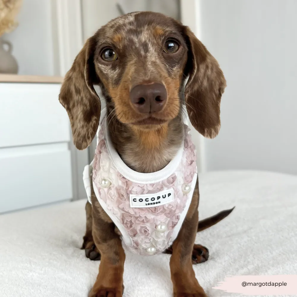 Cocopup Special Occassion Harnesses ✨ | Adjustable Neck Harnesses-Pearly Pup Adjustable Neck HARNESS