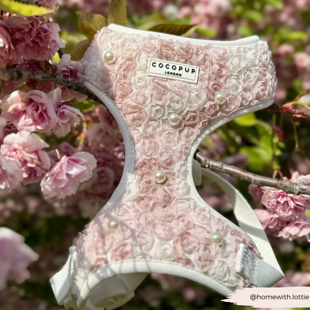 Cocopup Special Occassion Harnesses ✨ | Adjustable Neck Harnesses-Pearly Pup Adjustable Neck HARNESS