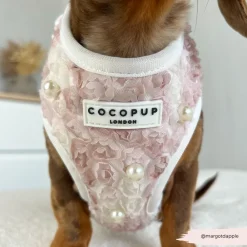 Cocopup Adjustable Harness Bundles | Special Occassion Harnesses ✨-Pearly Pup Adjustable Neck Harness, Lead & Collar Bundle