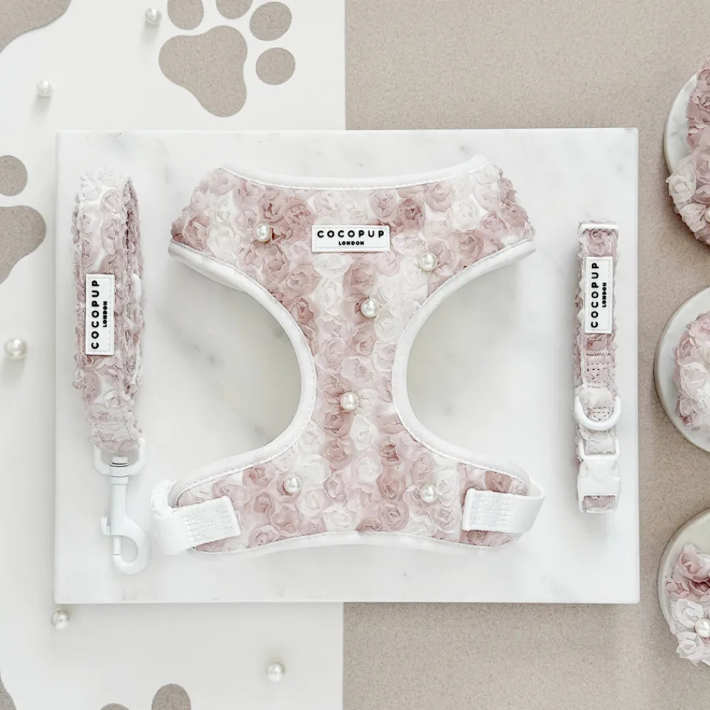 Cocopup Collars-Pearly Pup COLLAR