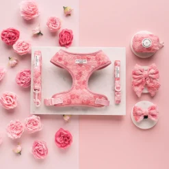 Cocopup Adjustable Neck Harnesses | Special Occassion Harnesses ✨-Peony Pup Adjustable Neck HARNESS