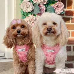 Cocopup Adjustable Neck Harnesses | Special Occassion Harnesses ✨-Peony Pup Adjustable Neck HARNESS