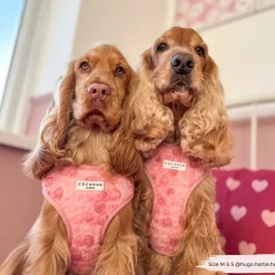 Cocopup Adjustable Neck Harnesses | Special Occassion Harnesses ✨-Peony Pup Adjustable Neck HARNESS