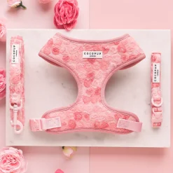 Cocopup Collars-Peony Pup COLLAR