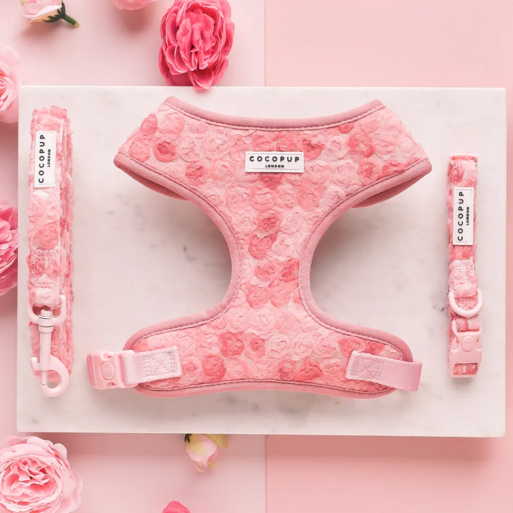 Cocopup Collars-Peony Pup COLLAR