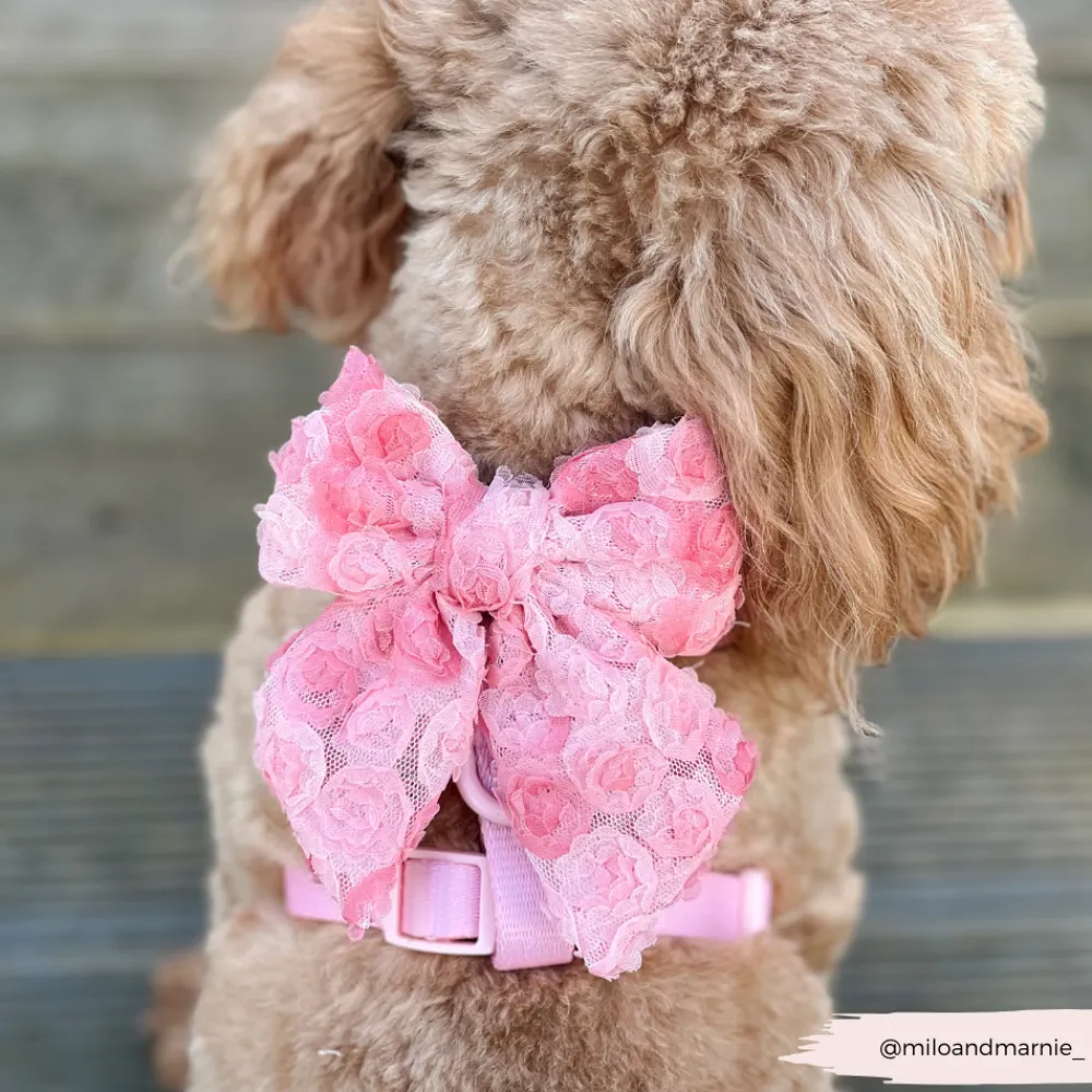 Cocopup Sailor Bow Ties-Peony Pup Sailor Bow Tie