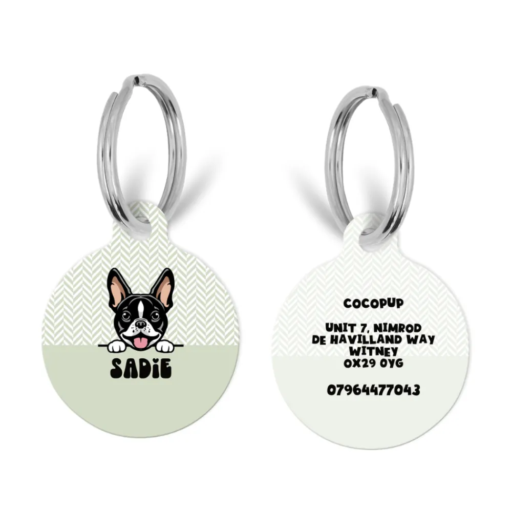 Cocopup Personalised Id Tags-Personalised Dog Cartoon ID Tag - Sage Tweed