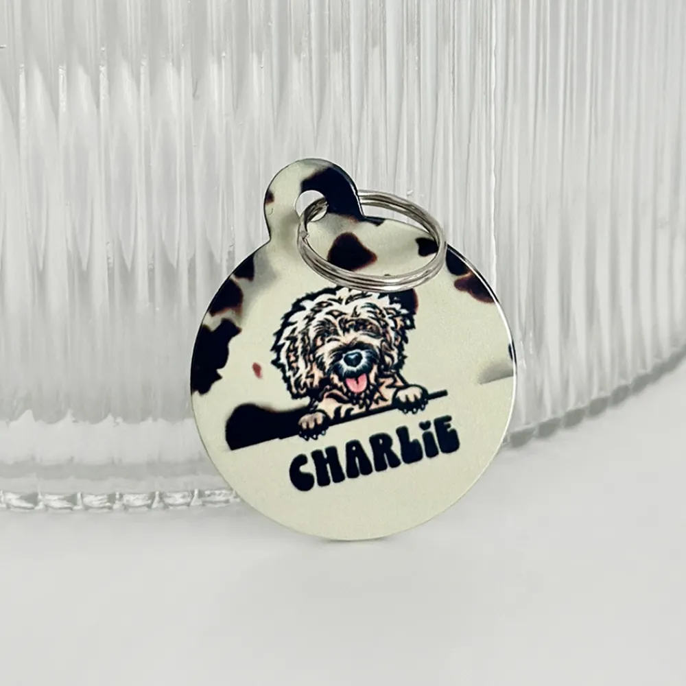 Cocopup Personalised Id Tags-Personalised Dog Cartoon ID Tag - Ivory Tort