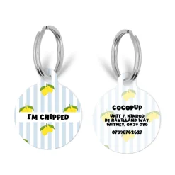 Cocopup Personalised Id Tags-Personalised Text ID Tag - Living La Vida Lemon