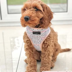 Cocopup Adjustable Neck Harnesses-Pink Dalmatian Adjustable Neck HARNESS